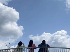 -光明小镇欢乐田园