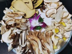 -野菌皇海景野生菌火锅(滨海大道店)