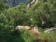 -碓臼峪自然风景区