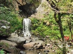 -石台牯牛降景区