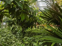 -南宫五洲植物乐园