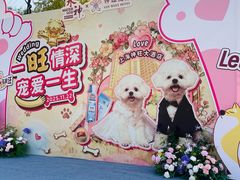 -上海神旺大酒店