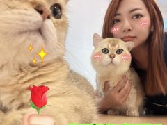 -有喵·猫咖·狗咖·30几只猫10只小狗(岗厦店)