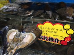 -蚝专家(北滘店)