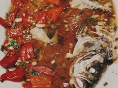 -丹江渔村(望京店)