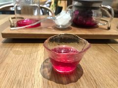 -柴务处·柴犬主题狗咖