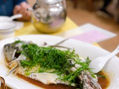 清蒸泉水鲩鱼-成惠食府(赤岗店)