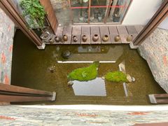 -几荷·恰似故人来(秀水广场店)