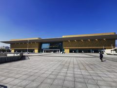 -万达广场(泰安泰山店)