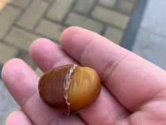 -王老头炒货(天坛东路店)