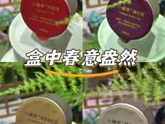 -万达广场(金堂店)