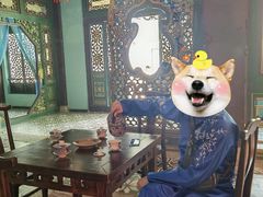 -奔跑吧乐园