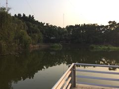 -人民公园(罗湖区)