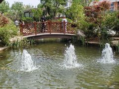 -山东省千佛山医院