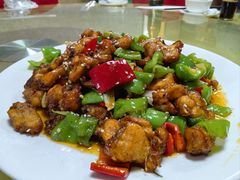 -煲来饱去冷水鱼