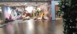 -马克叔叔的照相馆(东门店)