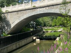 -白水寺森林公园