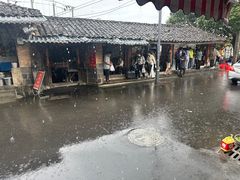 -邓氏大薄片