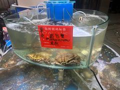 -四海蒸鲜蒸汽海鲜自助(北戴河店)