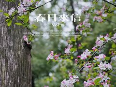 -莫愁湖公园