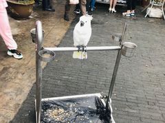 -四海楼(如皋定慧禅寺店)