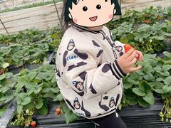 -小鱼草莓采摘园农家乐·小鱼餐厅