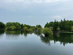 -贡湖湾湿地公园
