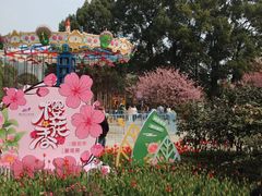 -南山植物园