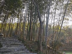 -句容茅山景区
