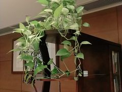 -上康中医脊椎理疗馆