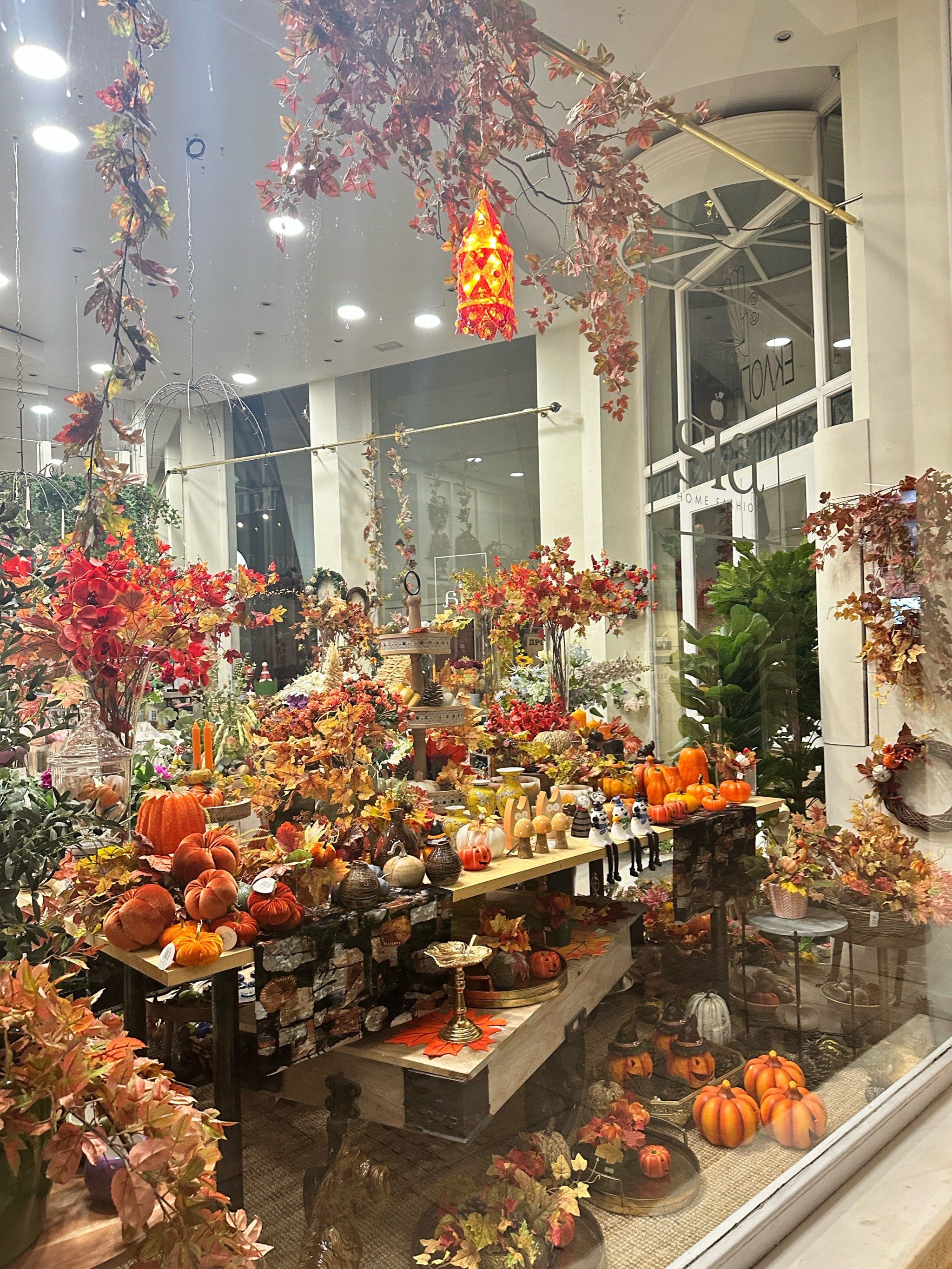 欧洲人很喜欢干花 这里有各种好看的干花店