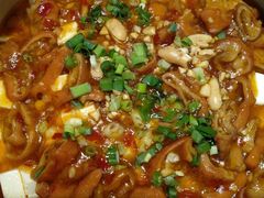 小豆花烩肥肠-京味民福烤鸭店(建设四马路店)