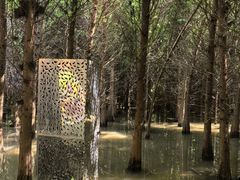-捞渔河湿地公园