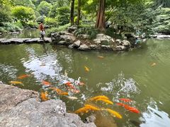 -杭州植物园