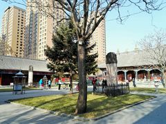 景点-护国法轮寺
