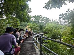 -海南槟榔谷黎苗文化旅游区