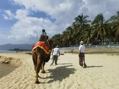 -三亚海棠湾万丽度假酒店