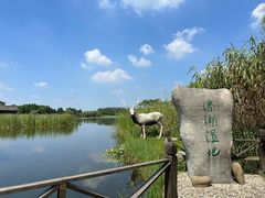 -溱湖国家湿地公园