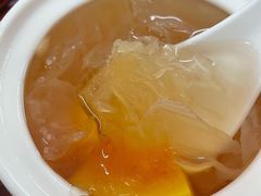 木瓜桃胶-陈添記·祖傳爽鱼皮·西关老字号(广州首店)