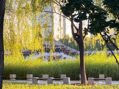 -西海子公园