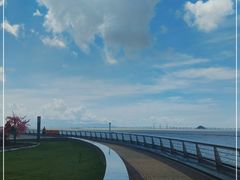 -野狸岛