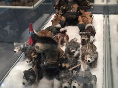 -济州岛泰迪熊博物馆