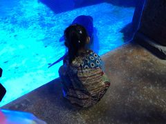 -波塞冬旅游度假区