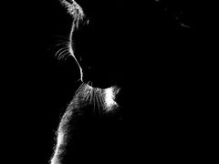 -自由港量贩KTV(西苑路店)