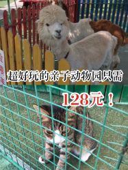 -萌宠亲子动物乐园(槐房万达店)