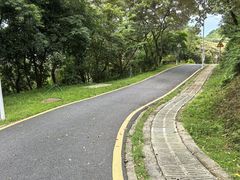 -黄埔油麻山森林公园