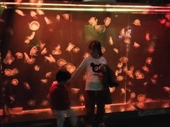 -重庆欢乐海底世界