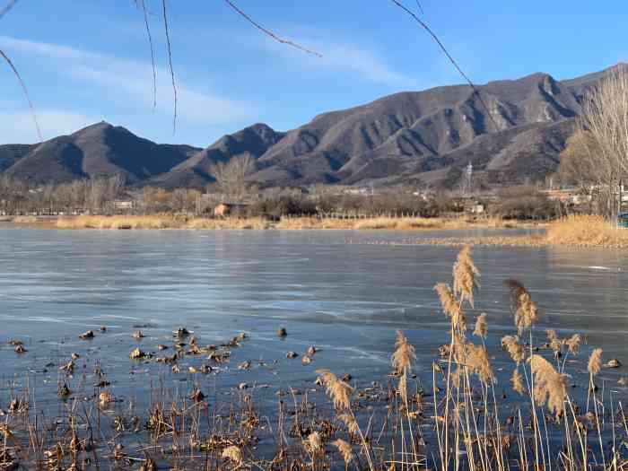 红螺湖鸟岛-"带小朋友来逛逛,小动物很多.环境旧一些但.