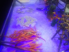 -巴犀烧烤(新崇光店)