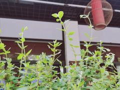 -坂田手造文化街